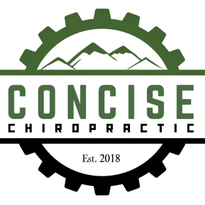 Concise Chiropractic Footer Logo