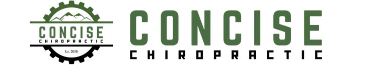Concise chiropractic logo