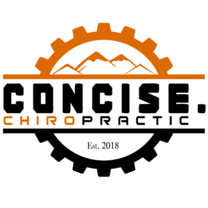 Concise Chiropractic Footer Logo